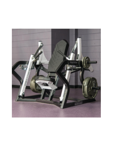 Rogers Pendulum Vertical Chest Press 