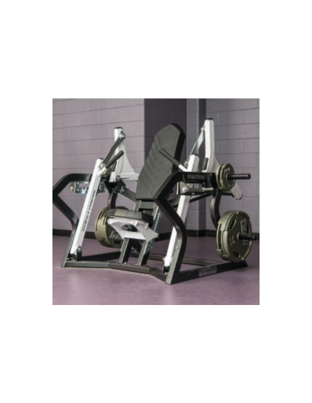 Rogers Pendulum Vertical Chest Press 