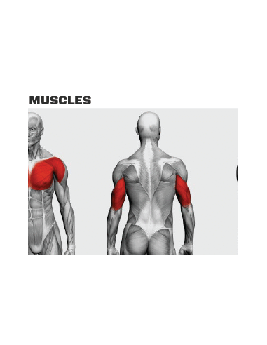 Rogers Performance Line Chest Press 