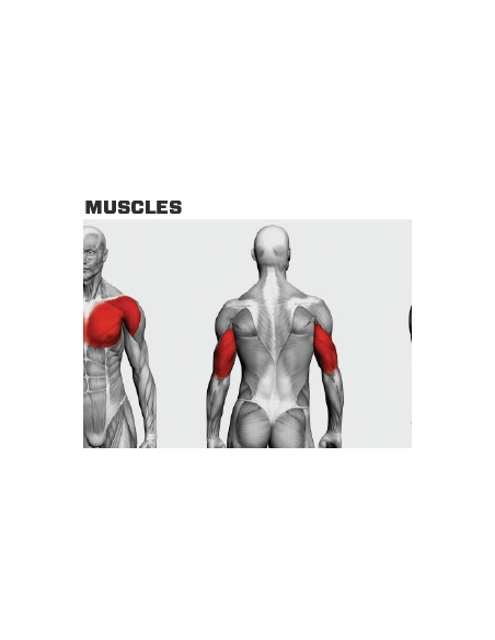 Rogers Performance Line Chest Press 