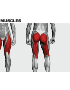 Rogers Performance Line Power Squat  2