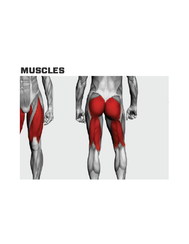 Rogers Performance Line Power Squat 