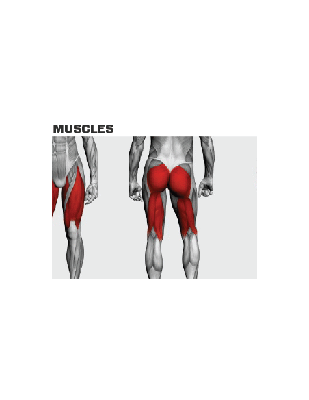 Rogers Performance Line Power Squat 