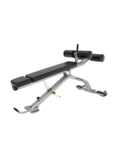Banc Abdominaux – LIFE FITNESS  2