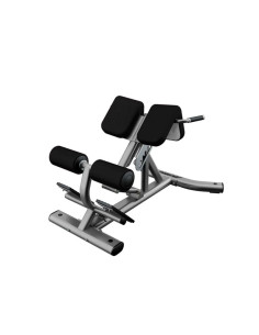 Banc à lombaire – LIFE FITNESS 