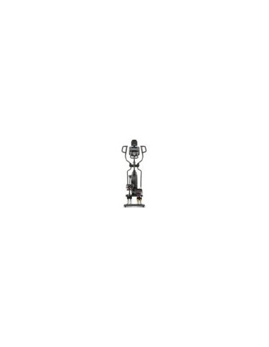 Elliptique Spirit Fitness XE295 