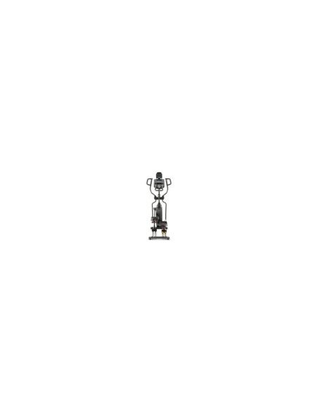 Elliptique Spirit Fitness XE295 