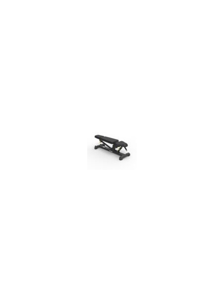 Banc réglable polyvalent multi positions professionnel SP-4204 Spirit Fitness 