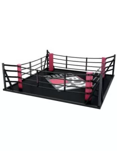 Ring de boxe au sol sur Platine - 5X5m-Home-musculation-Pas cher