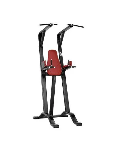 TELJU Fitness Dips, abdos et tractions 4SHO066/0-Home-musculation-Pas cher