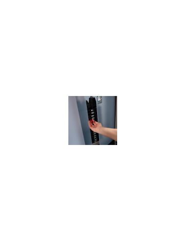 Machine Chin Dip Contrepoids BodySolid Pro Club Line Série 2 