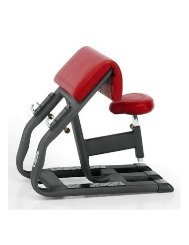 TELJU Fitness Banc Larry Scott 4SHO083/0-Home-musculation-Pas cher