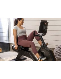 Schwinn 590R Recumbent Bike  2