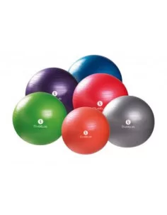 Gymballs STANDARD - en boîte Sveltus 