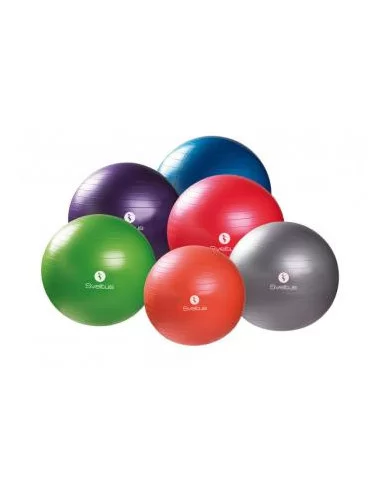 Gymballs STANDARD - en boîte Sveltus 