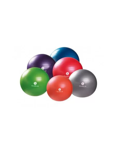 Gymballs STANDARD - en boîte Sveltus 