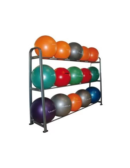 Rack Gymballs Sveltus 