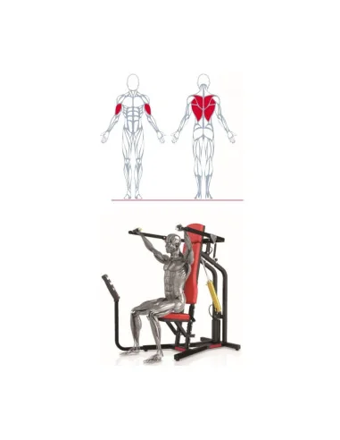 Air250 Lat Pull Down