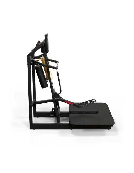 Air300 Belt Squat