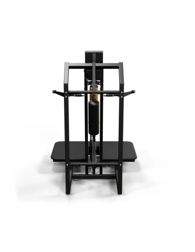 Air300 Belt Squat