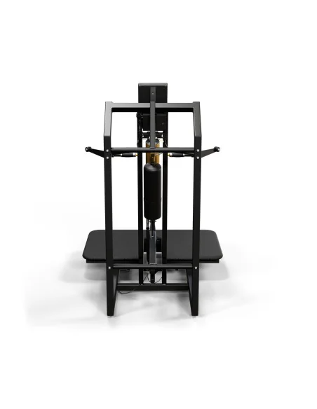 Air300 Belt Squat