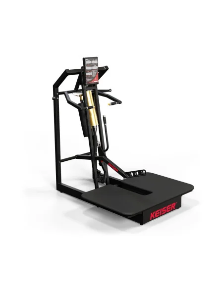 Air300 Belt Squat