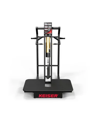 Air300 Belt Squat