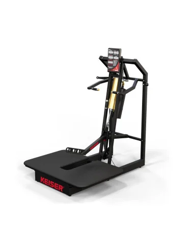 Air300 Belt Squat
