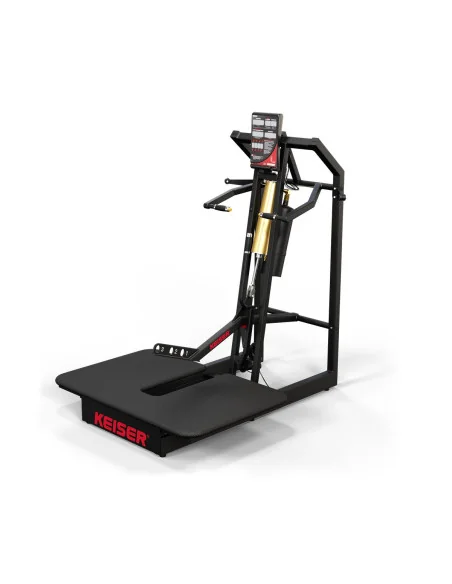 Air300 Belt Squat