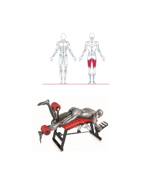 Air300 Leg Curl Pro