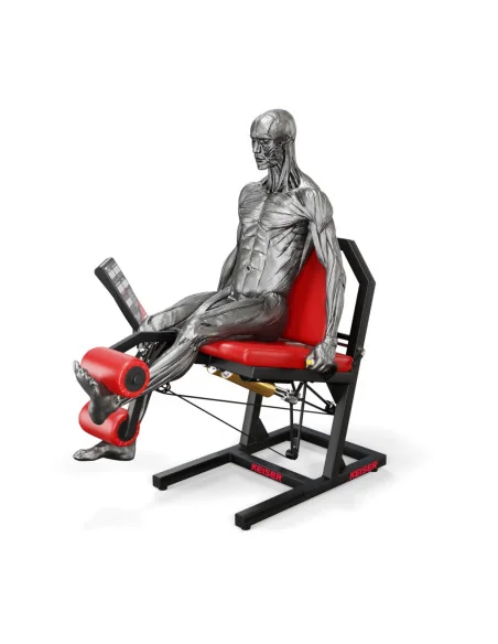 Air300 Leg Extension Pro