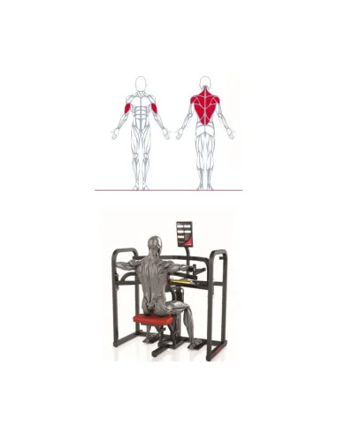 Air350 Bi-axial Upper Back