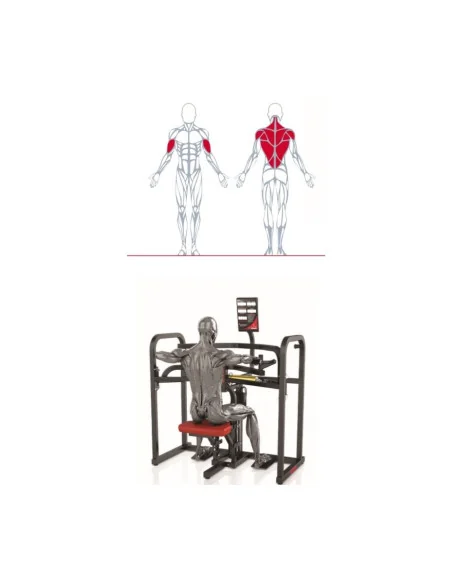 Air350 Bi-axial Upper Back