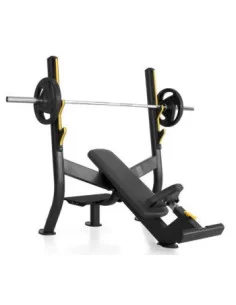 PLATINUM - Banc incliné PTT0110-Home-musculation-Pas cher