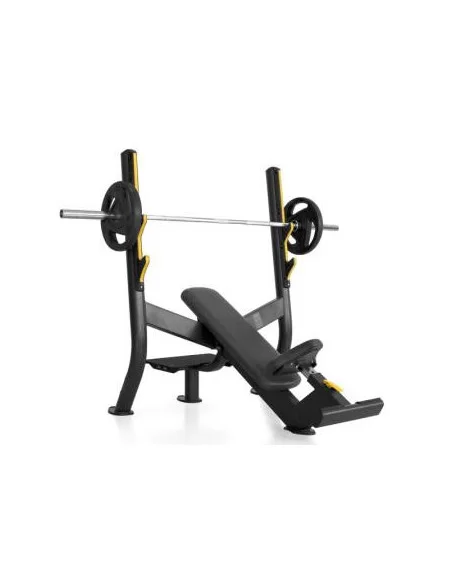 PLATINUM - Banc incliné PTT0110-Home-musculation-Pas cher