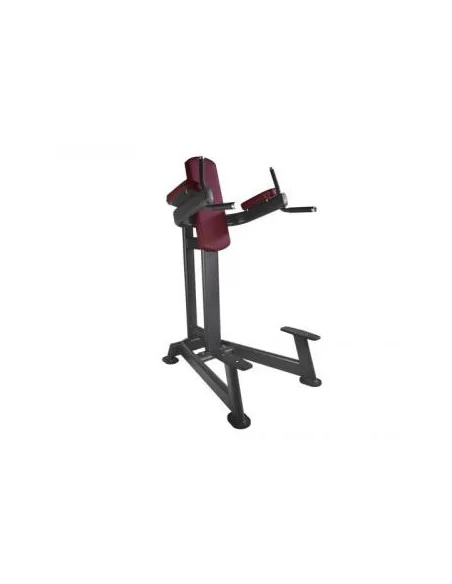 Platinum - Chin Dips PTT0115-Home-musculation-Pas cher