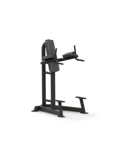 Chaise Crunchs et Abdos Série Platinum  PTT0215F-Home-musculation-Pas cher