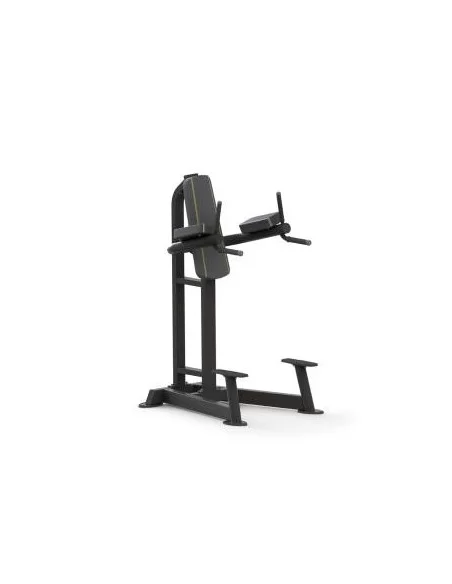 Chaise Crunchs et Abdos Série Platinum  PTT0215F-Home-musculation-Pas cher