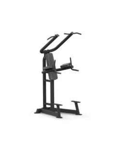 Chins Platinum Series  PTT0219F-Home-musculation-Pas cher