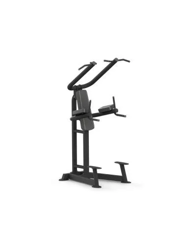 Chins Platinum Series  PTT0219F-Home-musculation-Pas cher