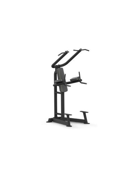 Chins Platinum Series  PTT0219F-Home-musculation-Pas cher