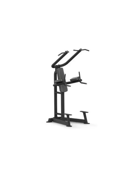 Chins Platinum Series  PTT0219F-Home-musculation-Pas cher